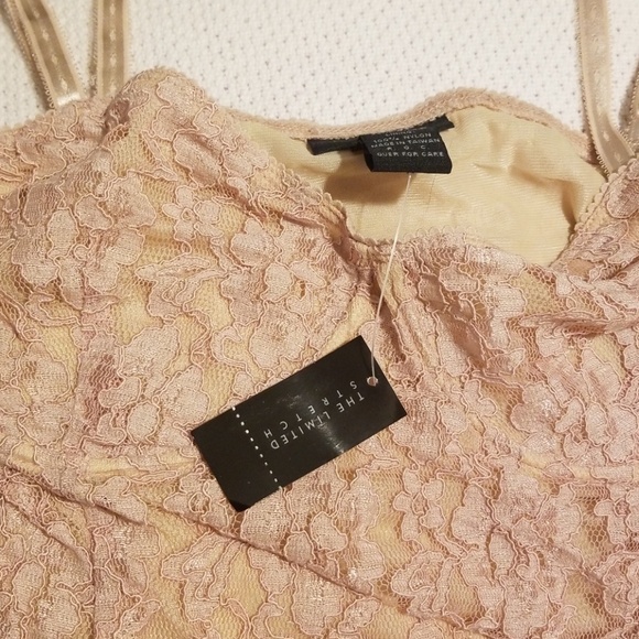 The Limited Pink Lace Tank Top - Picture 4 of 4